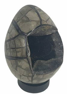 SEPTARIAN DRAGON EGG: SEPTARIAN DRAGON EGG - (E24) 4.8 LBS. Height: 7 in. by Width: 4.5 in. by Depth: 4.5 in.