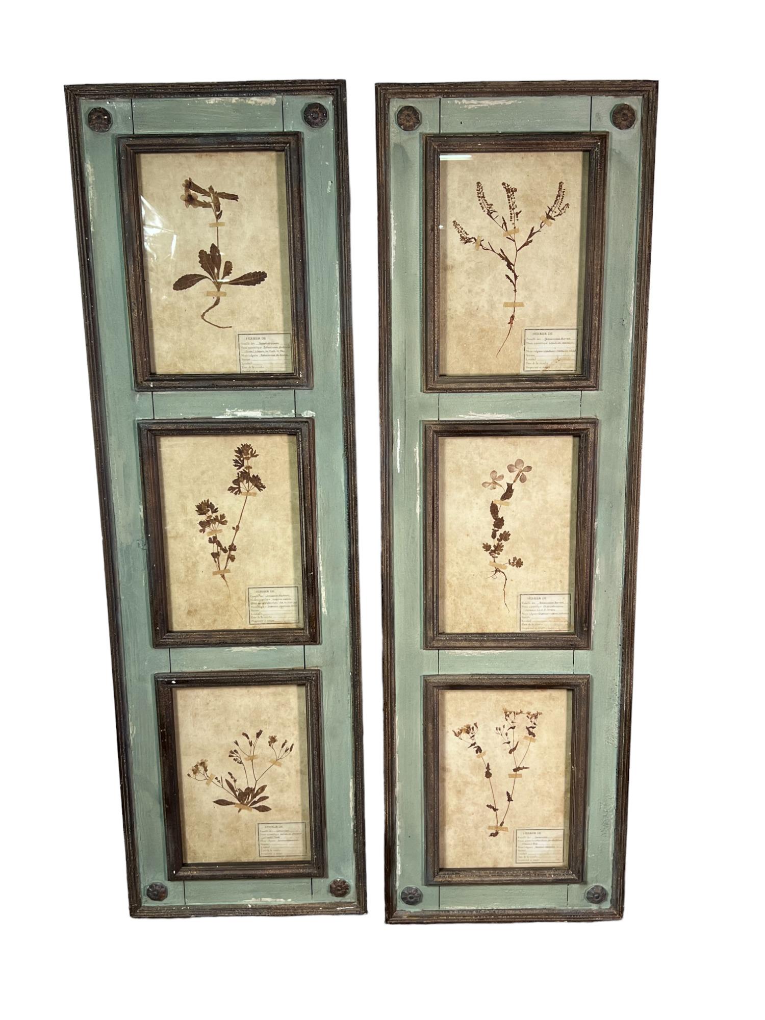 PAIR FRAMED BOTANICAL PRINTS (1 of 3)