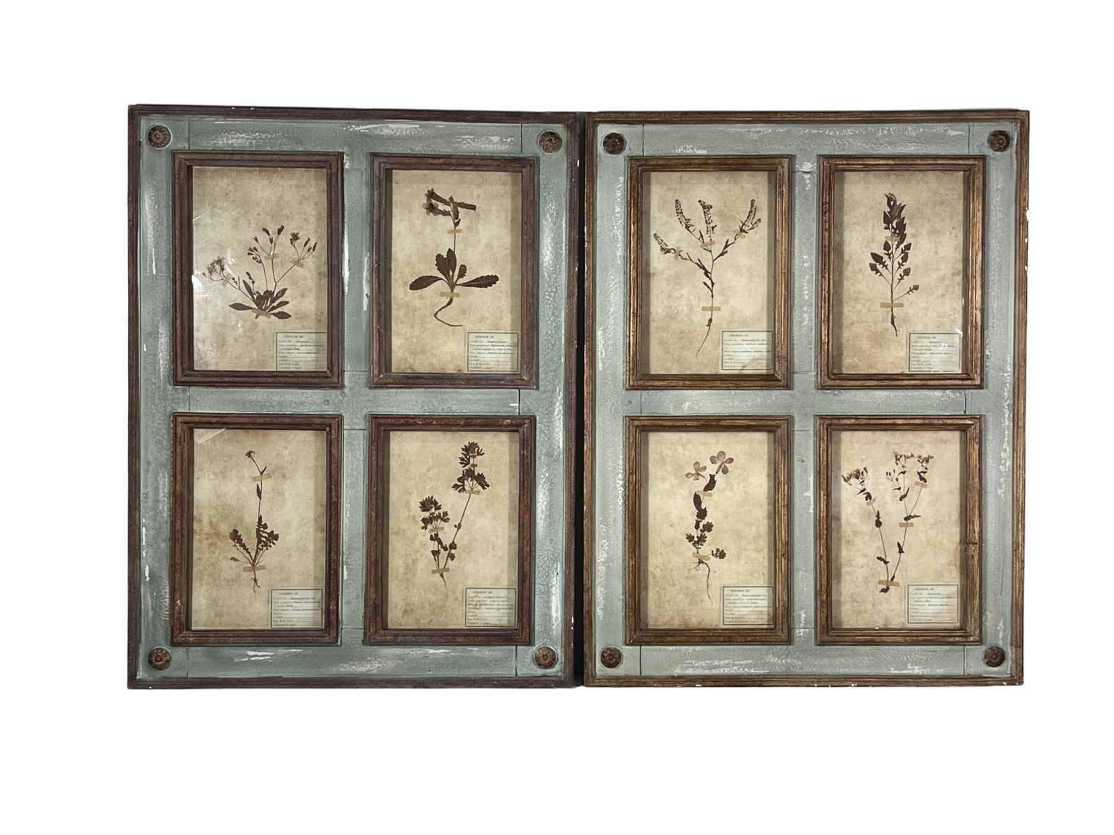 GRAND BOTANICAL PRINTS (1 of 3)