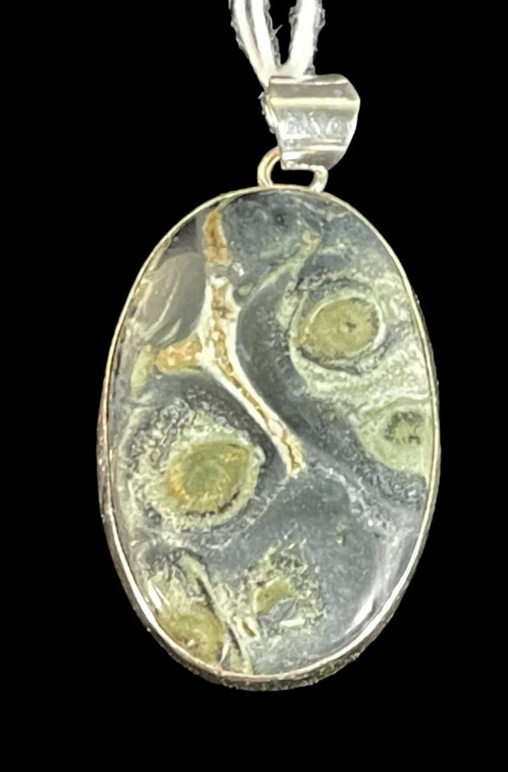 LARGE LAGUNA LACE AGATE PENDANT (1 of 3)