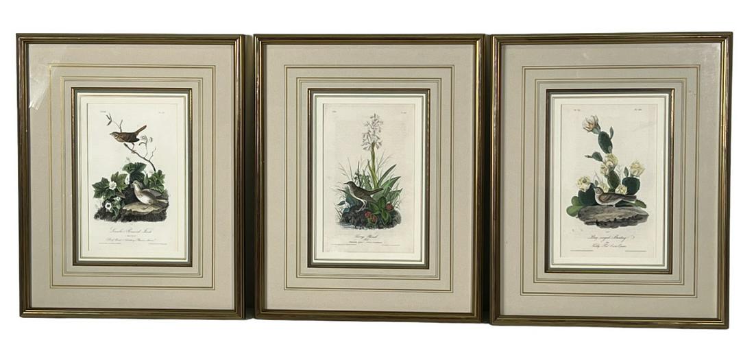 SET OF THREE  J. J. AUDUBON LITHOGRAPHS (1 of 4)