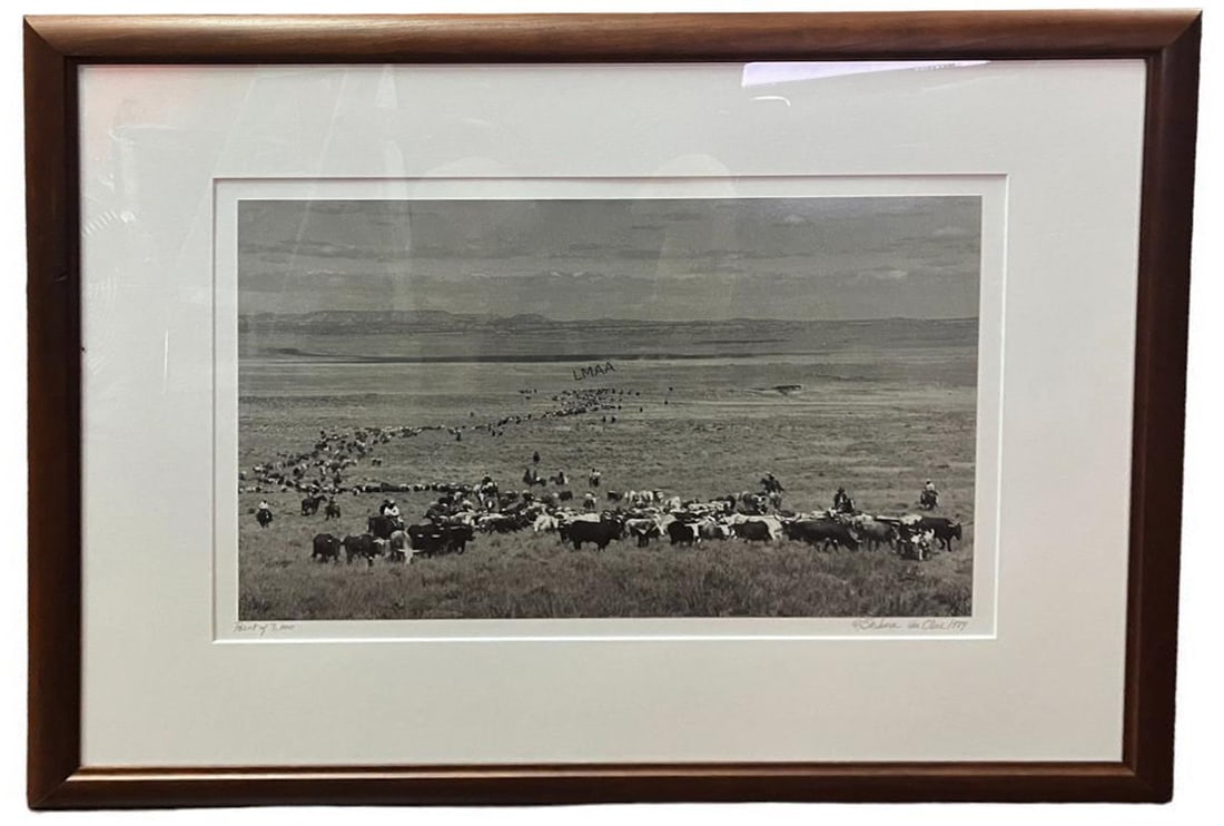 BARBARA VAN CLEVE " POINT OF 3000" PHOTO, 1989: BARBARA VAN CLEVE " POINT OF 3000" SIGNED PHOTOGRAPH, 1989. Height: 24.5 in. by Width: 31 in. by Depth: 1 IN.