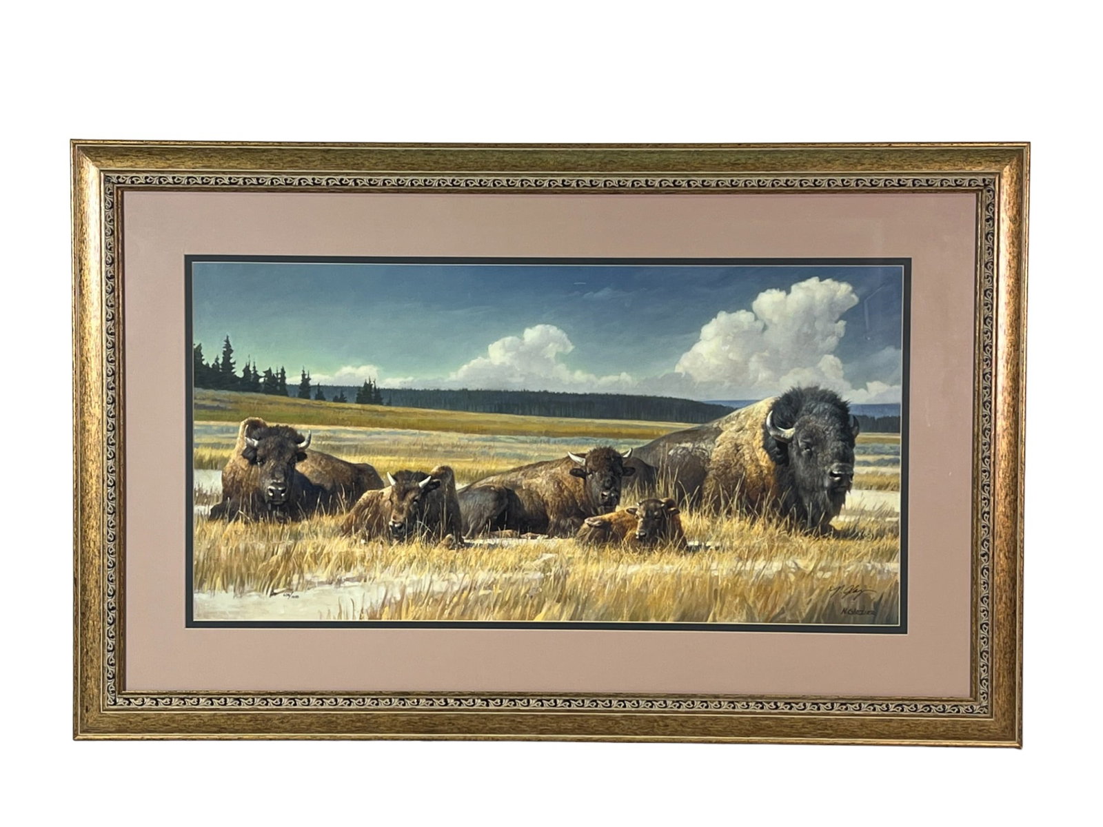 N. GLAZIER BUFFALO 608/1200: N. GLAZIER BUFFALO 608/1200