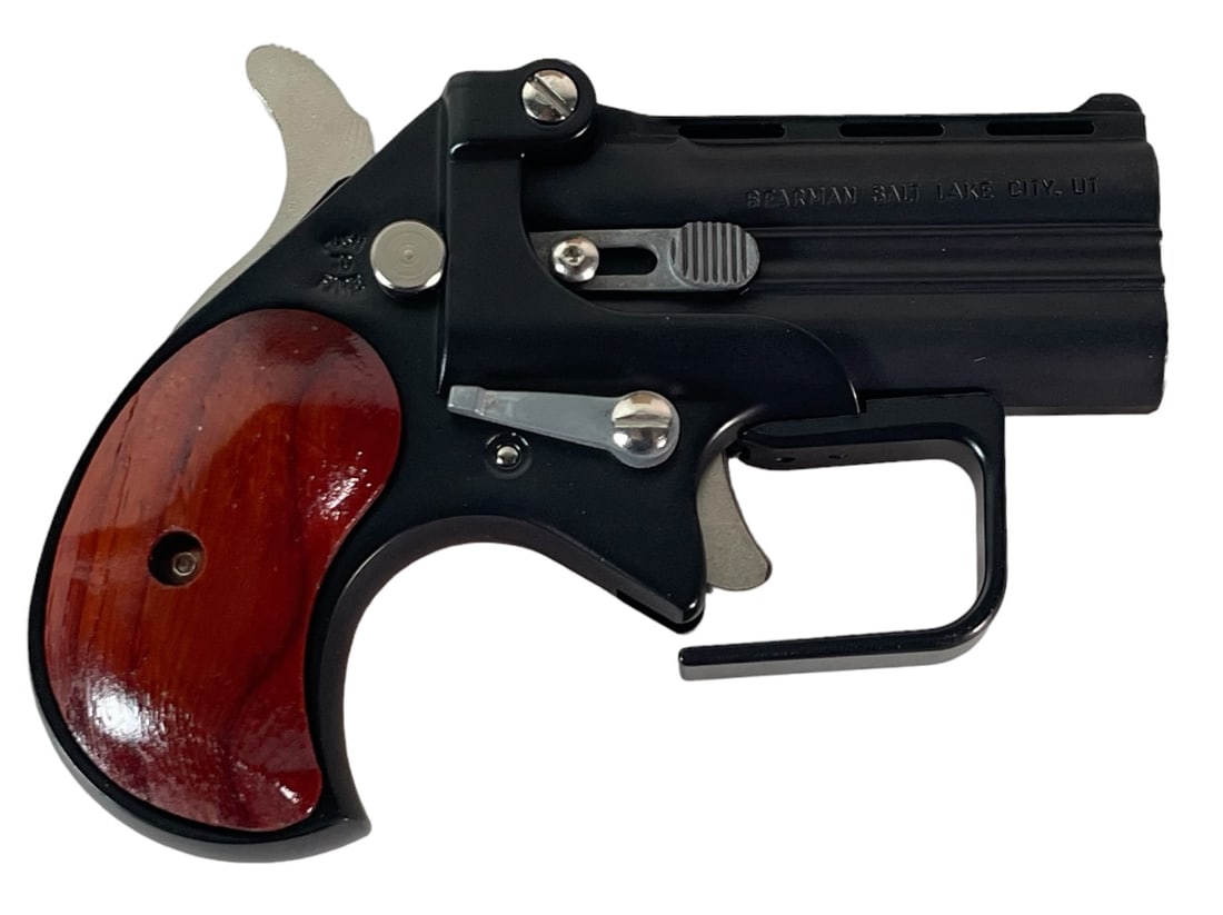 Derringer - Big Bore w/Guardian- .38 SPC Blk/RSWD: Derringer - Big Bore w/Guardian- .38 SPC Pistol Blk/RSWD.Serial #BT080814. (L183)