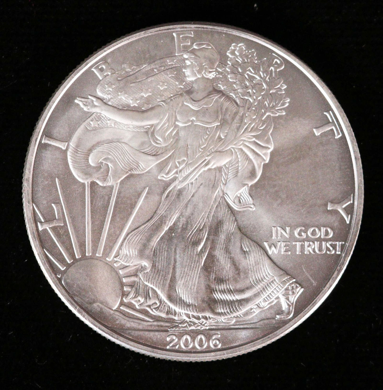 10 AMERICAN SILVER EAGLES COINS (1 of 2)