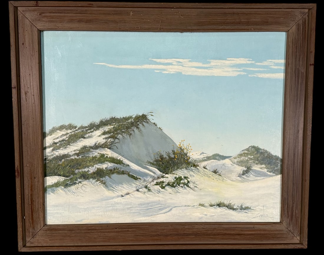 SIGNED BILL ZANER "DUNES OF MUSTANG ISLAND" 1971 (1 of 4)