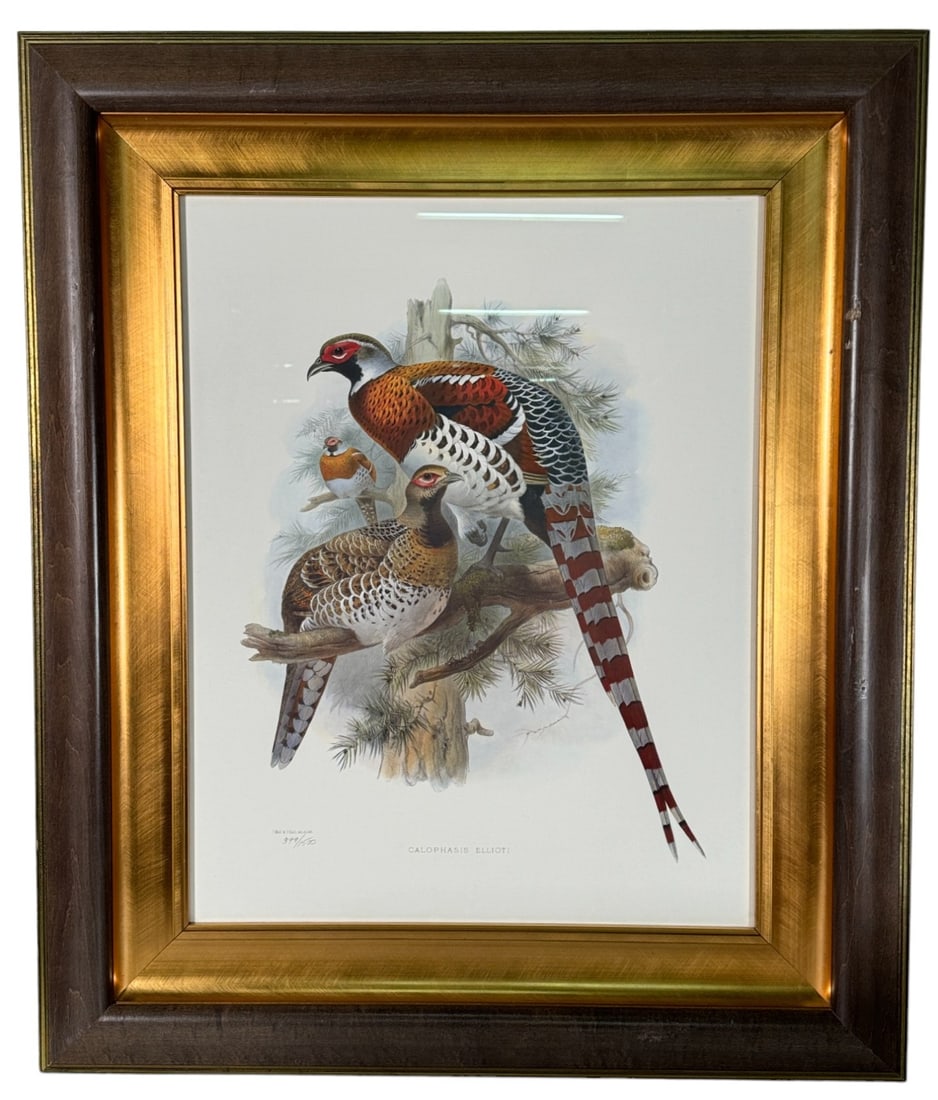 J WOLF & J SMIT EXOTIC BIRDS LITHO 399/1500 (1 of 5)