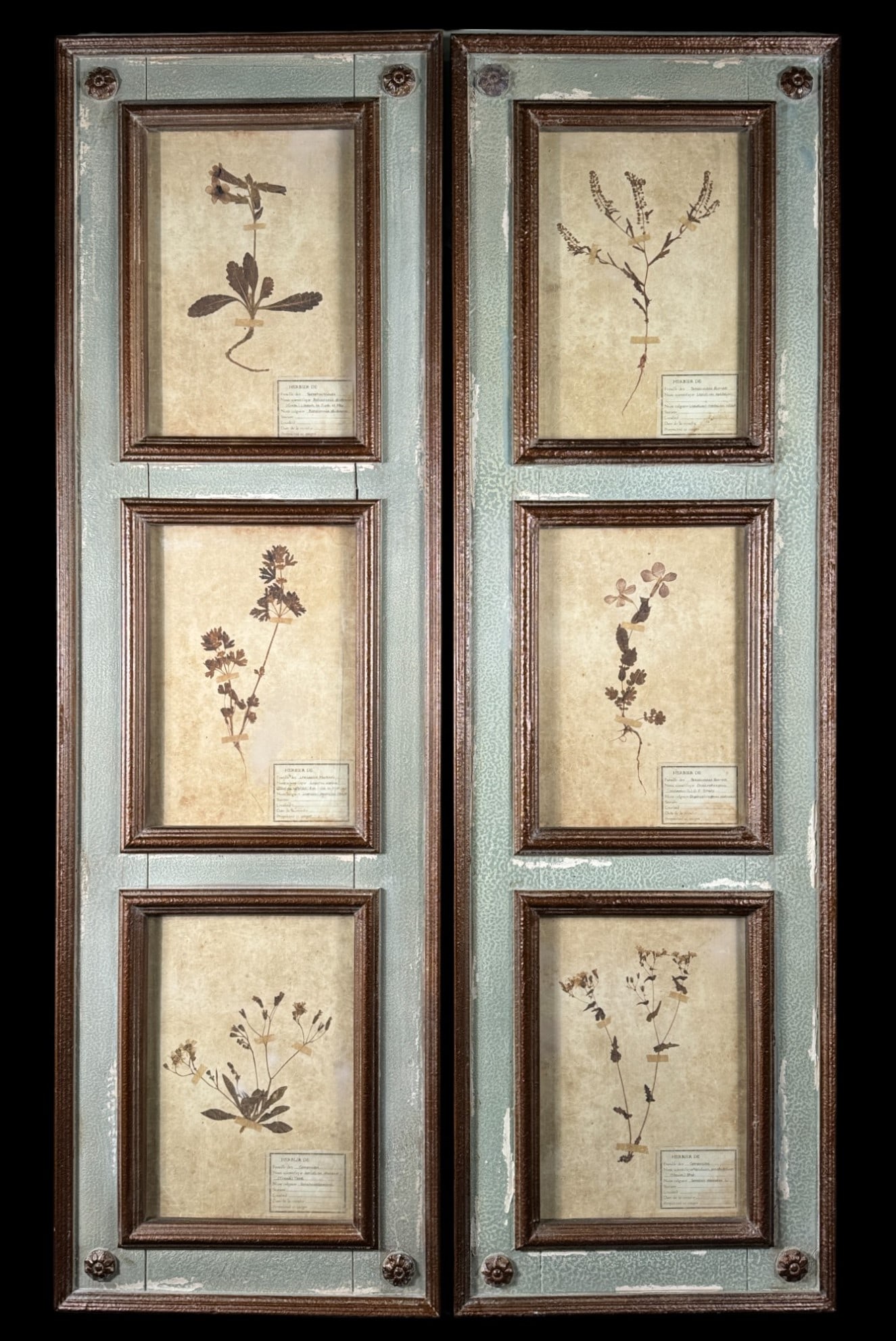 TWO FRAMED BOTANICAL PANELS (1 of 5)