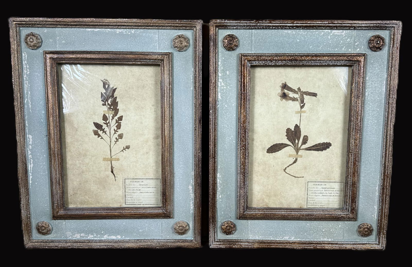 PAIR OF BOTANICALS IN PAINTED FRAMES (1 of 3)