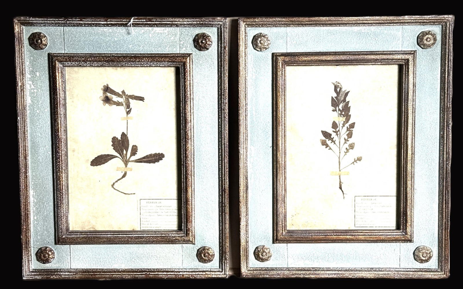 PAIR OF BOTANICALS IN PAINTED FRAMES (1 of 3)