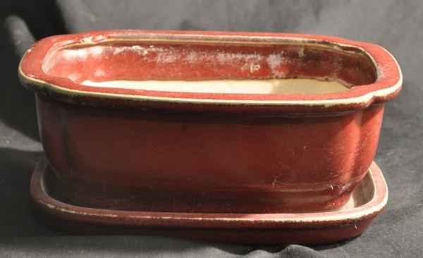 LATE CHING JUN SANG DE BOEUF COMPOTE: LATE CHING JUN SANG D BOEUF COMPOTE. Height: 4 in. by Width: 8 1/2 in. by Depth: 6 3/4 in.