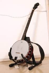 Guitar Works/Remo Weather King Banjo