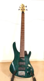 Washburn XB-500