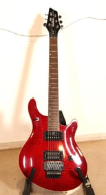 Washburn BT-10 Maverick Series