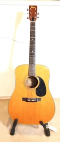 Ibanez Martin Style Acoustic Guitar
