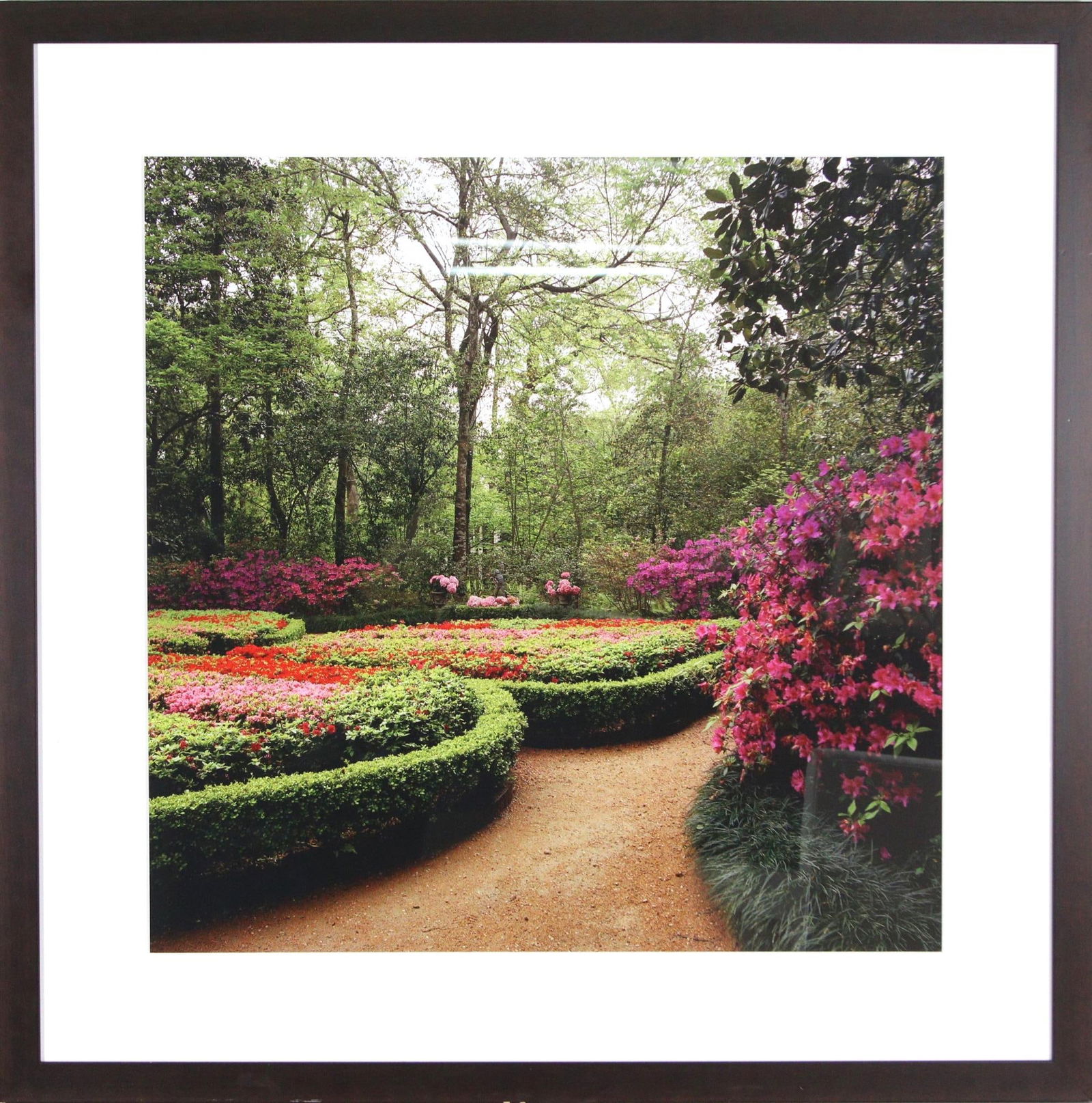 BAYOU BEND GARDEN- BUTTERFLY GARDEN PHOTOGRAPH (1 of 2)