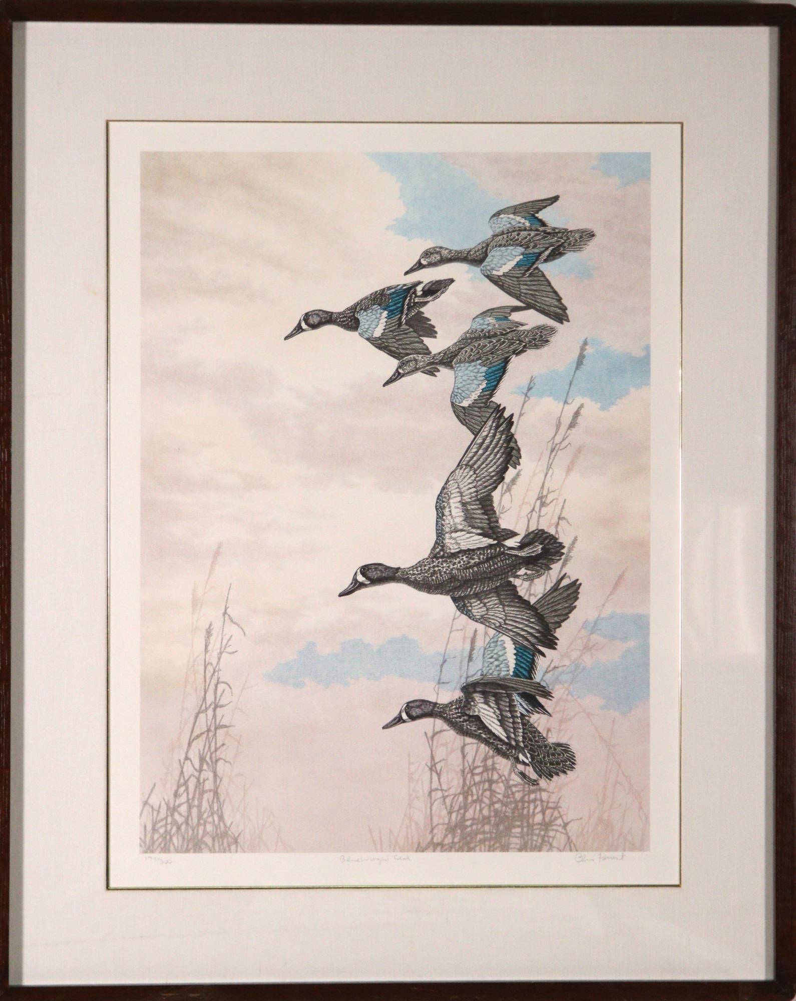 BLUE WINGED TEAL BY ARTIST CHRIS FORREST: BLUE WINGED TEAL BY ARTIST CHRIS FORREST Height: 34 in. by Width: 27.2 in.