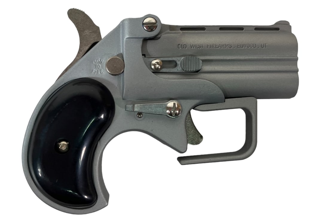SHORT BORE DERRINGER 38 SPL: SHORT BORE DERRINGER 38 SPL WITH GUARDIAN PKG 2.75". SATIN FINISH BLACK GRIP. SERIAL #004665. (L238)