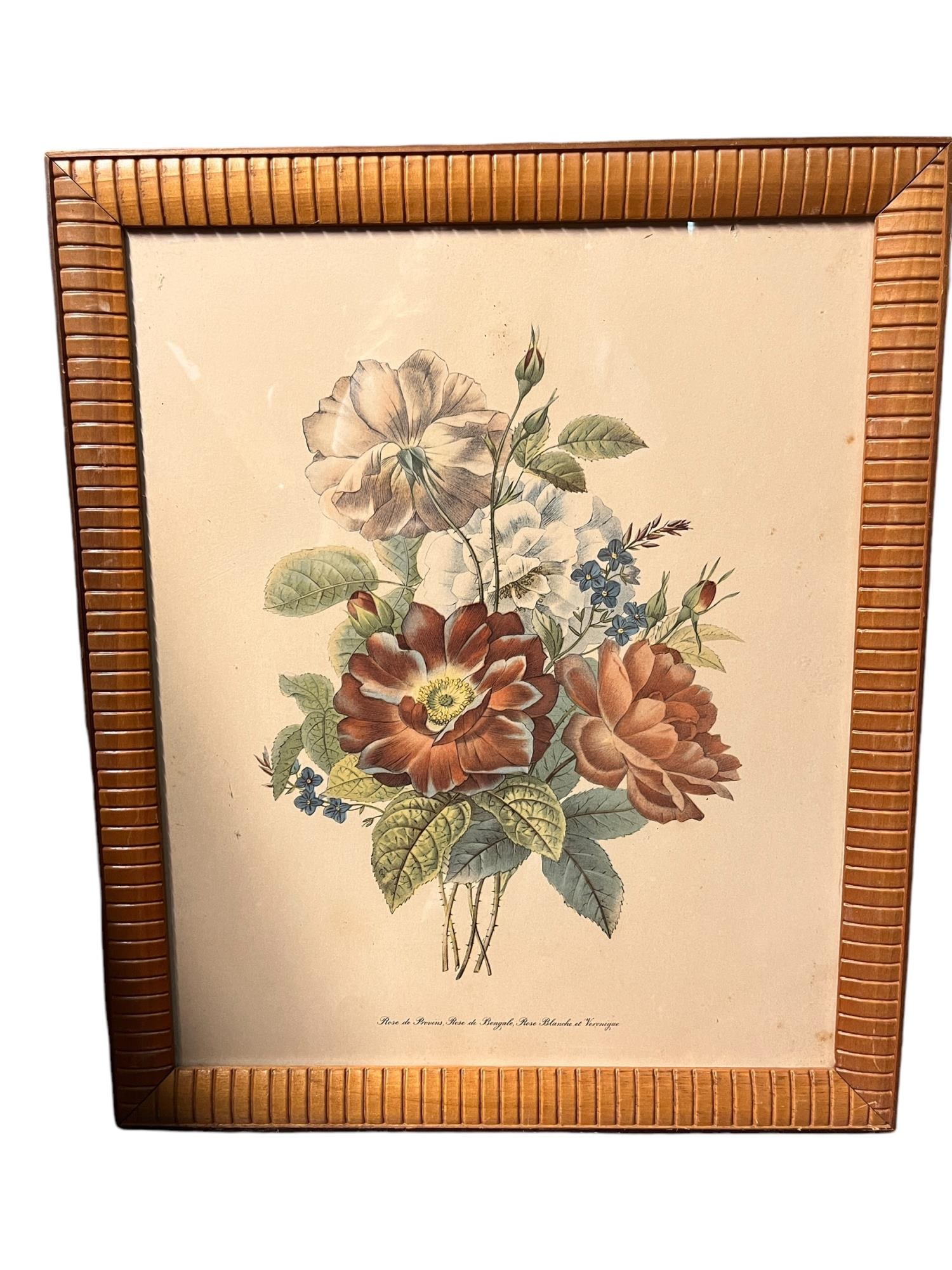 ROSE DE PROVINS PRINT: ROSE DE PROVINS PRINT Height: 19 in. by Width: 16 in.