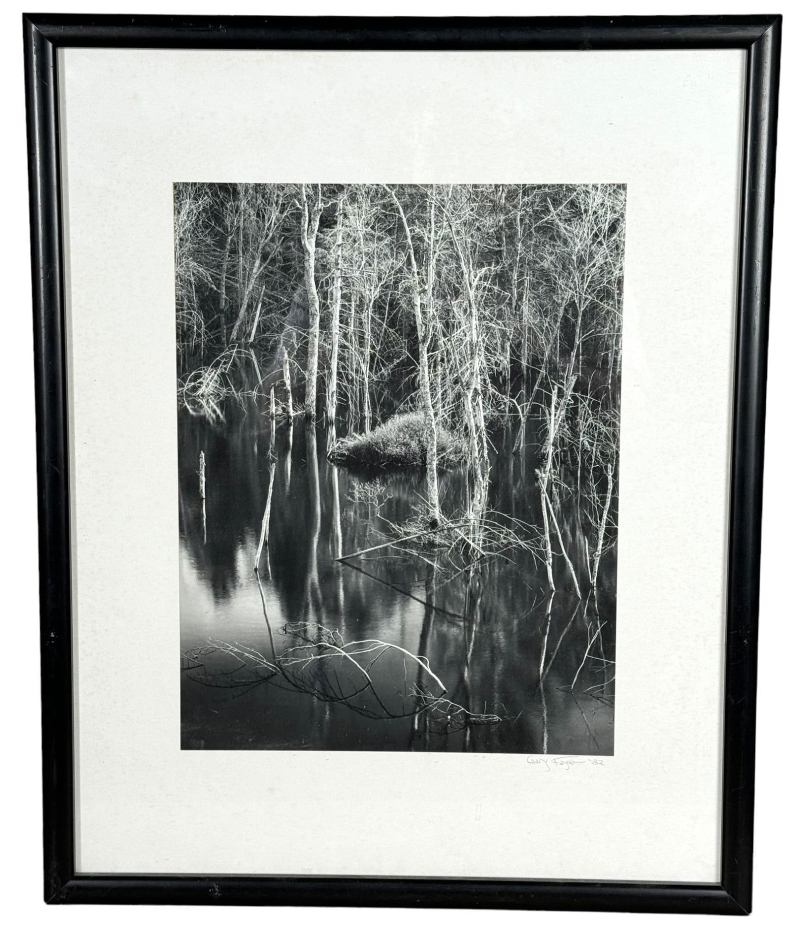 GARY FAYE PHOTOGRAPH OF THE OUTDOORS (1 of 1)