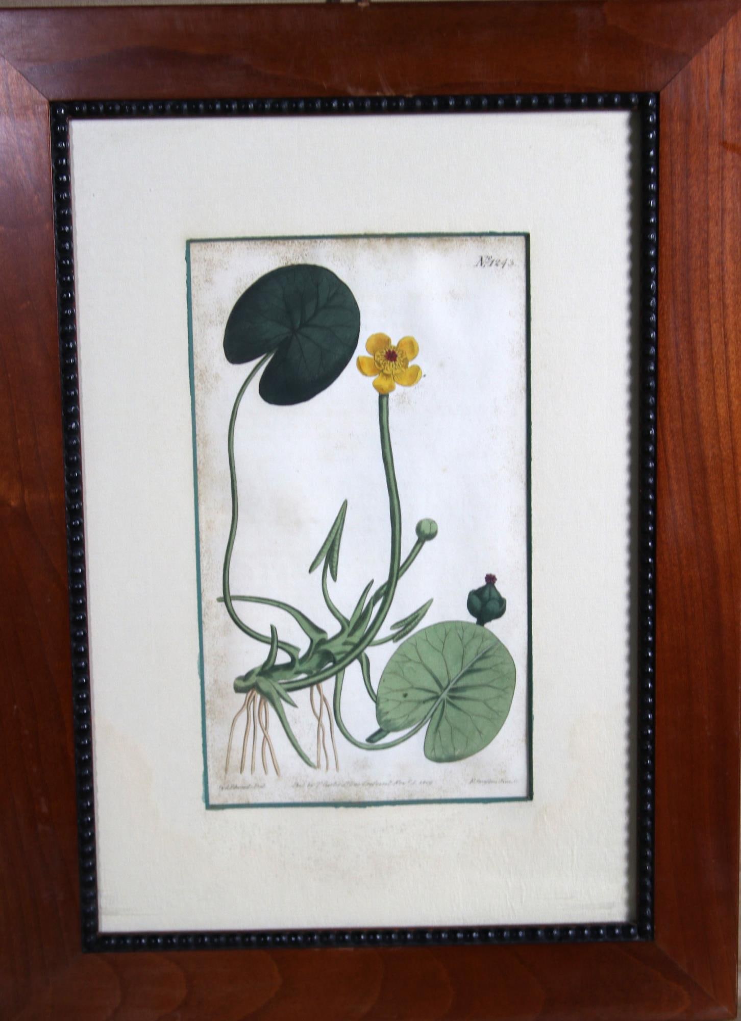 SET OF 3 FRAMED & MATTED BOTANICAL PRINTS (1 of 10)