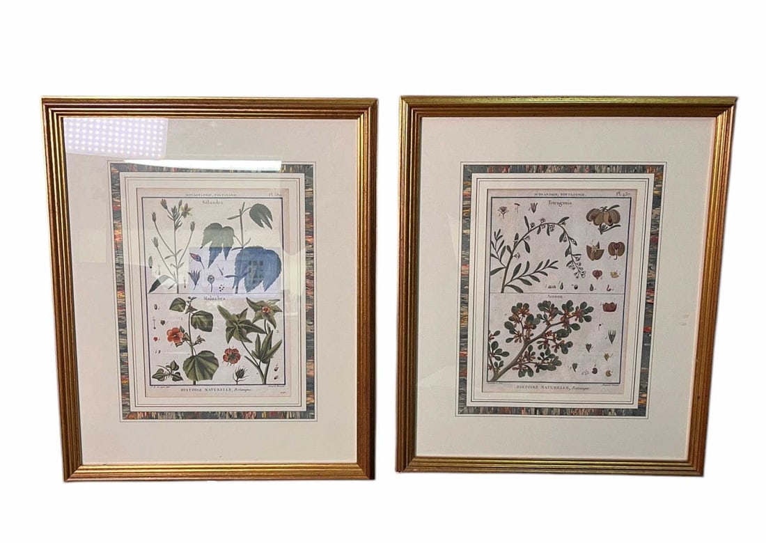 SET OF FOUR 18TH CENTURY BOTANTICAL PRINTS (1 of 10)