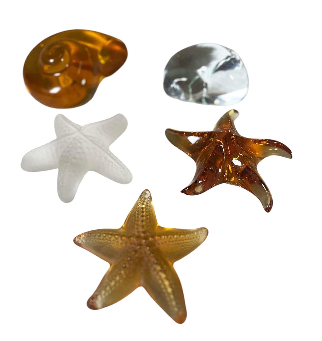 SET OF SEA LIFE, THREE STARFISH AND TWO SHELLS: SET OF SEA LIFE, THREE STARFISH AND TWO SHELLS. Height: 4 in. by Width: 6.5 in. by Depth: 6.5 in.