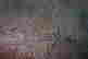 item-15216617=3