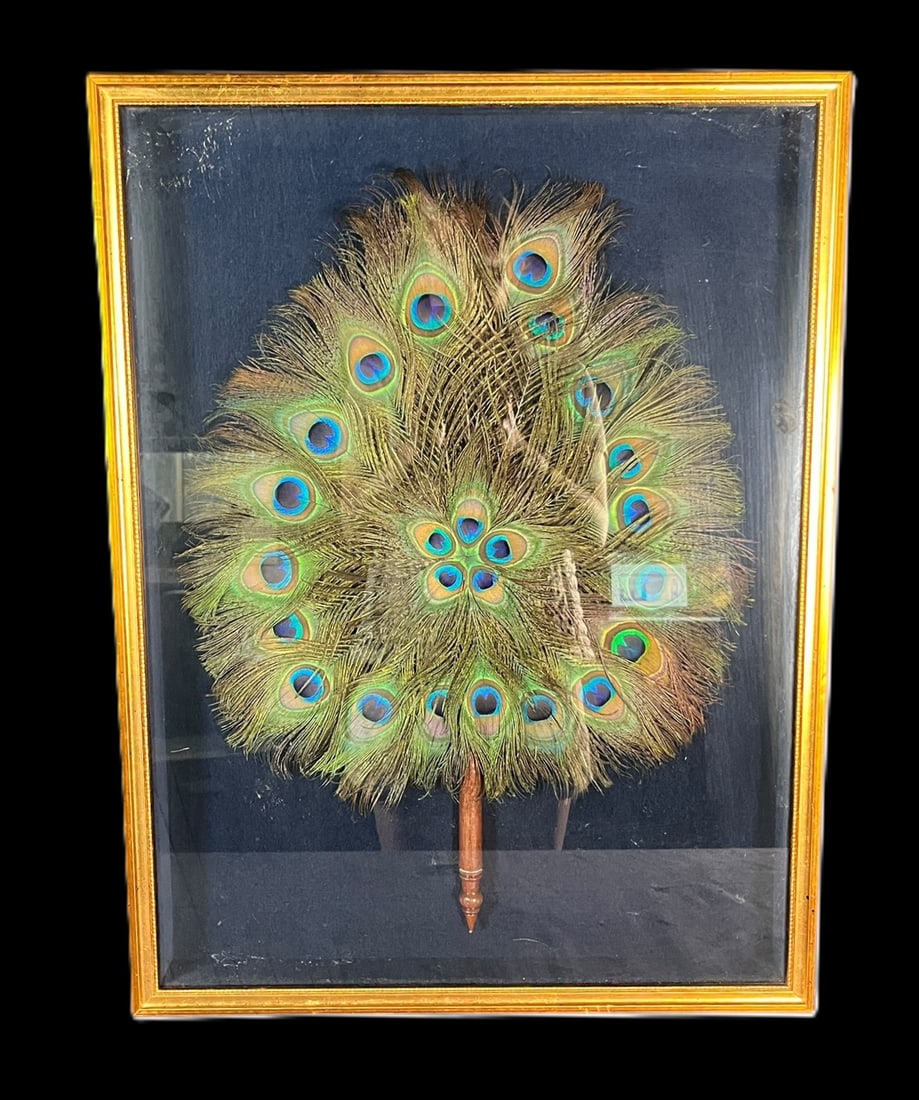 VINTAGE PEACOCK FEATHER FAN IN SHADOW BOX (1 of 3)