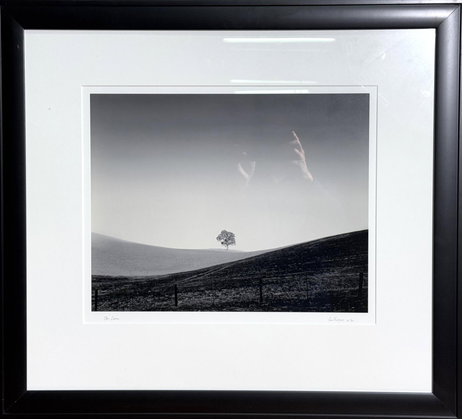 CHRIS HONEYSETT CLAYTON, OK PHOTOGRAPH, 2007: CHRIS HONEYSETT CLAYTON, OK PHOTOGRAPH, 2007. Height: 28.6 in. by Width: 31.5 in.
