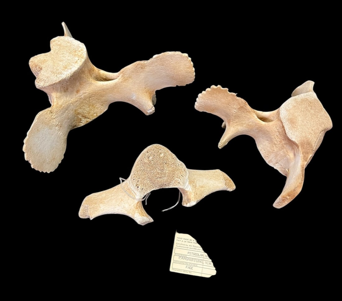 SET OF THREE ANTLER BONES: SET OF THREE ANTLER BONES. Height: 5 in. by Width: 9.5 in. by Depth: 8 in.