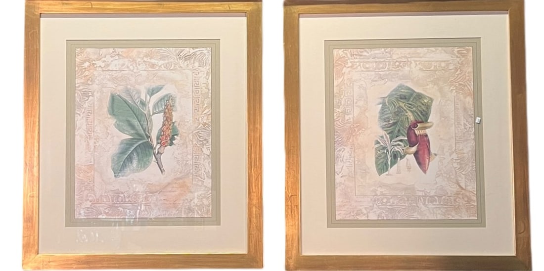 PAIR OF BOTANTICAL PRINTS FRAMED IN GOLD (1 of 6)