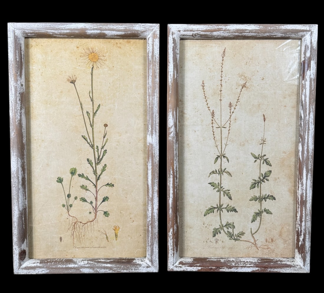 2 RUSTIC FRAMED FIELD FLOWER BOTANICALS Height: 24  in. by Width: 14 in. by Depth: 1.25 in. (1 of 3)