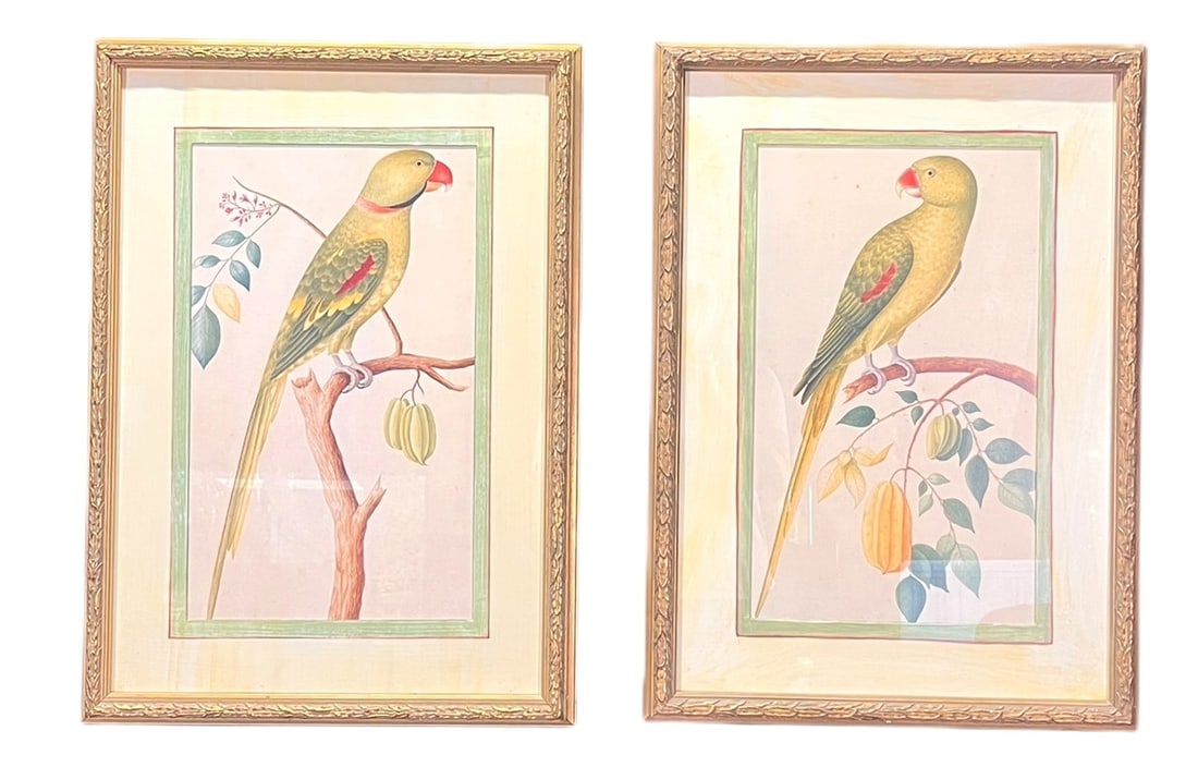 PAIR OF PARROT FLORAL PRINTS Height: 27 in. by  Width: 19.5 in. (1 of 4)