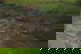 item-208369967=5