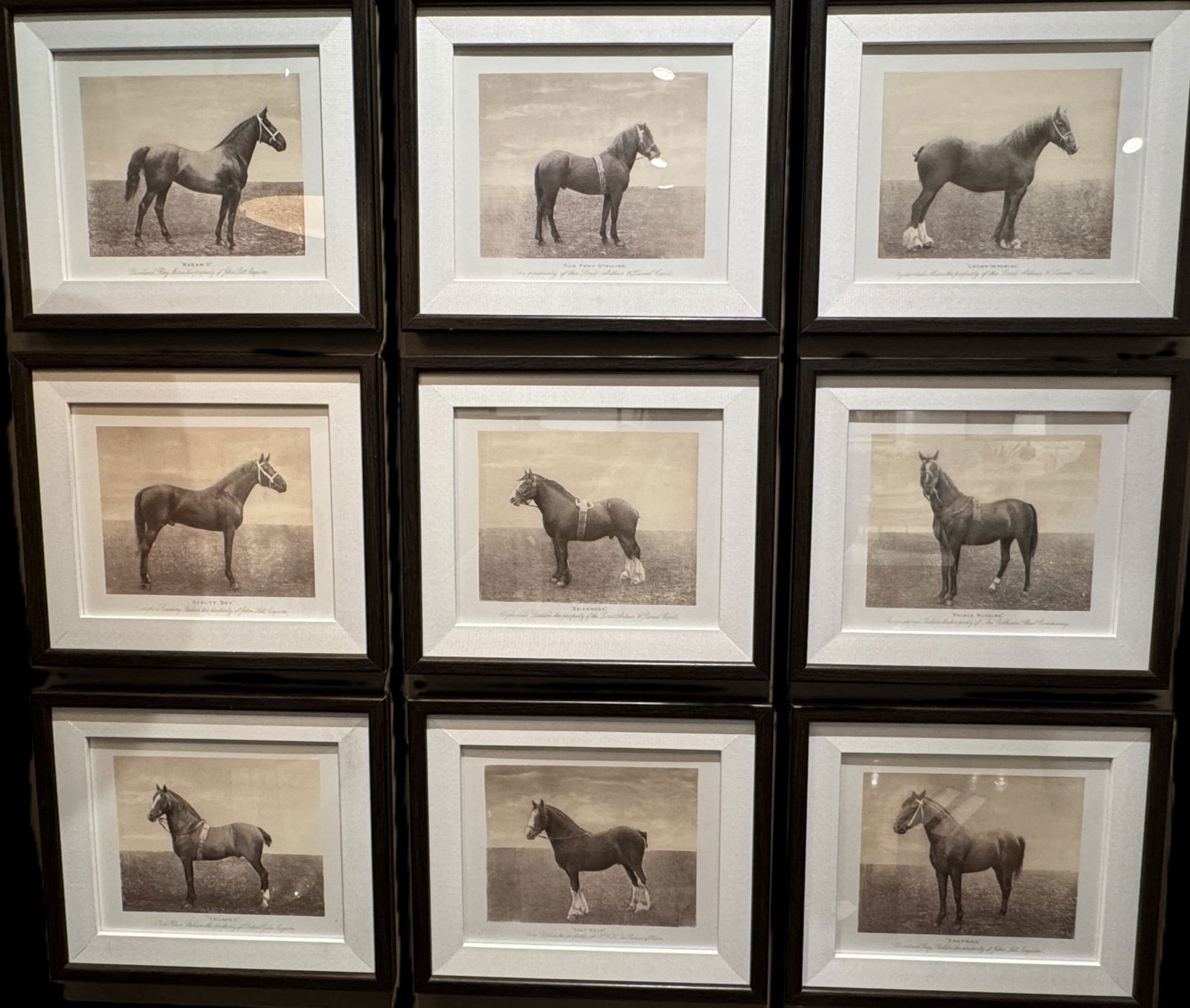 SET OF 9 FRAMED HORSE PRINTS (1 of 3)