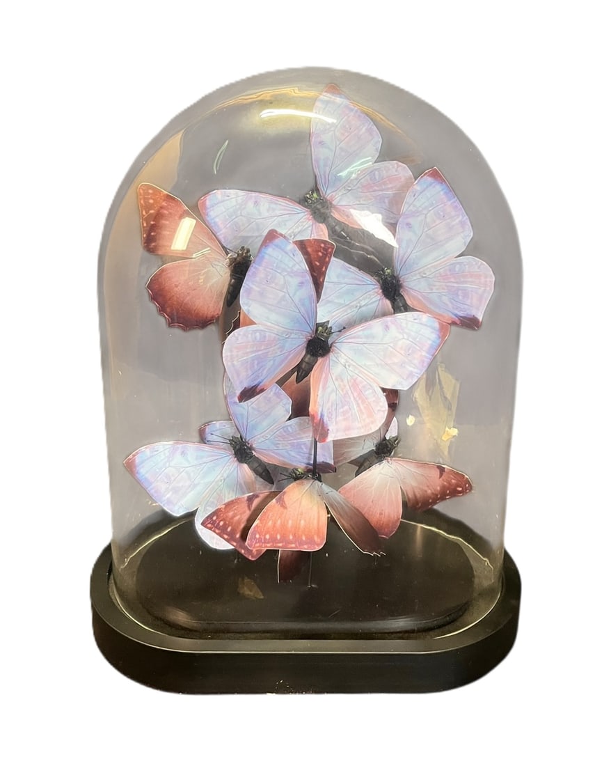 RUE DE BAC GLASS CASE OF LILAC BUTTERFLIES: RUE DE BAC GLASS CASE OF LILAC BUTTERFLIES Height: 13 in. by Width: 11 in. by Depth: 8 in.