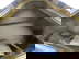 item-211065545=4