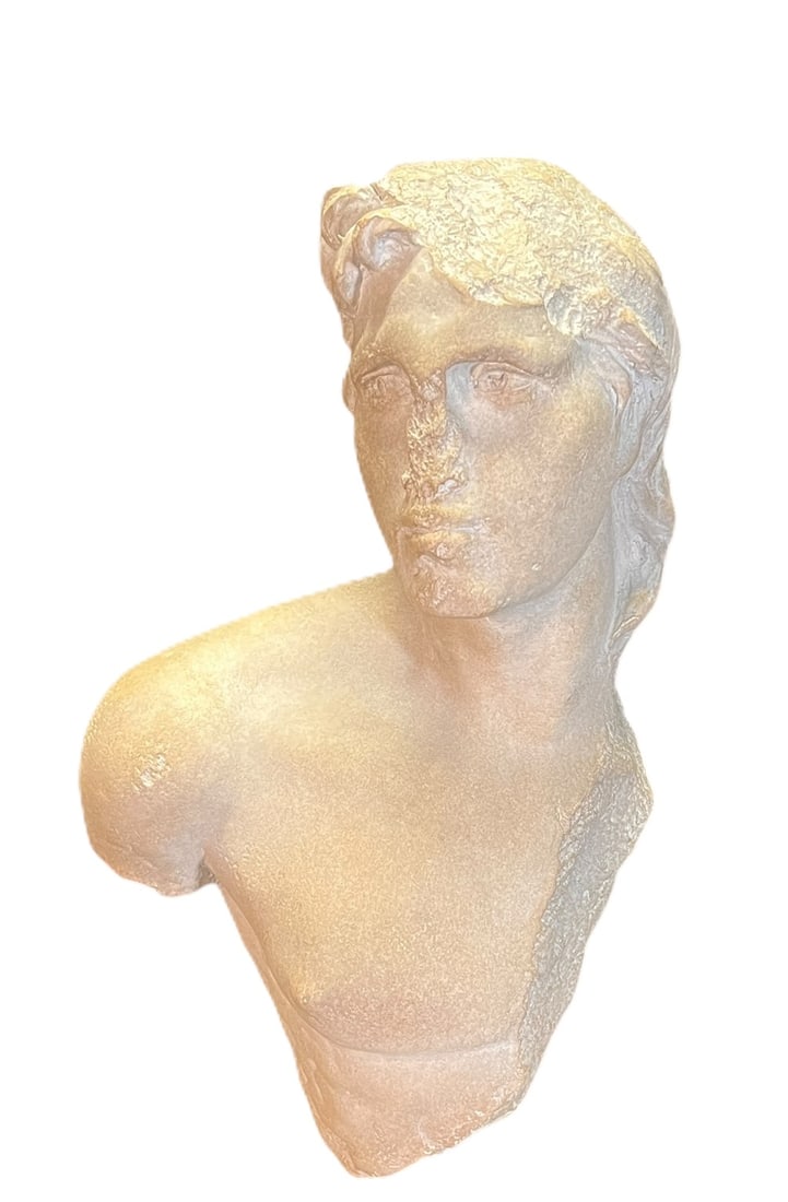 MALE BUST TORSO ON IRON STAND: MALE BUST TORSO ON IRON STAND Height: 19 in. by Width: 11 in. by Depth: 6 in.