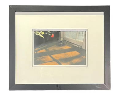 "RED CARNATION" CIBACHROME PRINT BY JILL EINFIELD: "RED CARNATION" CIBACHROME PRINT BY JILL EINFIELD. Height: 21 in. by Width: 24.1 in.