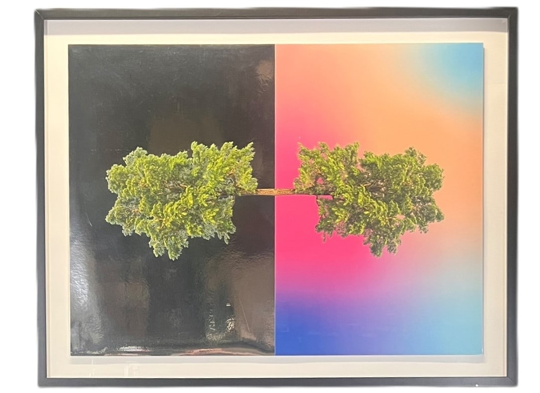 TREE SERIES PHOTOGRAPHIC COLLAGE ON PAPER: TREE SERIES PHOTOGRAPHIC COLLAGE ON PAPER. Height: 36 in. by Width: 46.5 in. by Depth: 2 in.