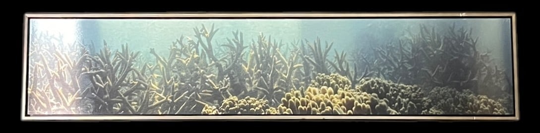 CORAL REEF ART ON ALUMINUM: CORAL REEF ART ON ALUMINUM Height: 13.3 in. by Width: 61 in.