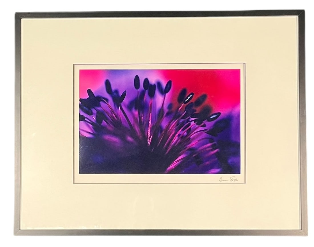 "ANOMEL" CIBRACHROME PRINT BY DENNIS STOCK: "ANOMEL" FLOWER SHOP PORTFOLIO CIBRACHROME PRINT BY DENNIS STOCK. Height: 25 in. by Width: 32 in. by Depth: 1 in.