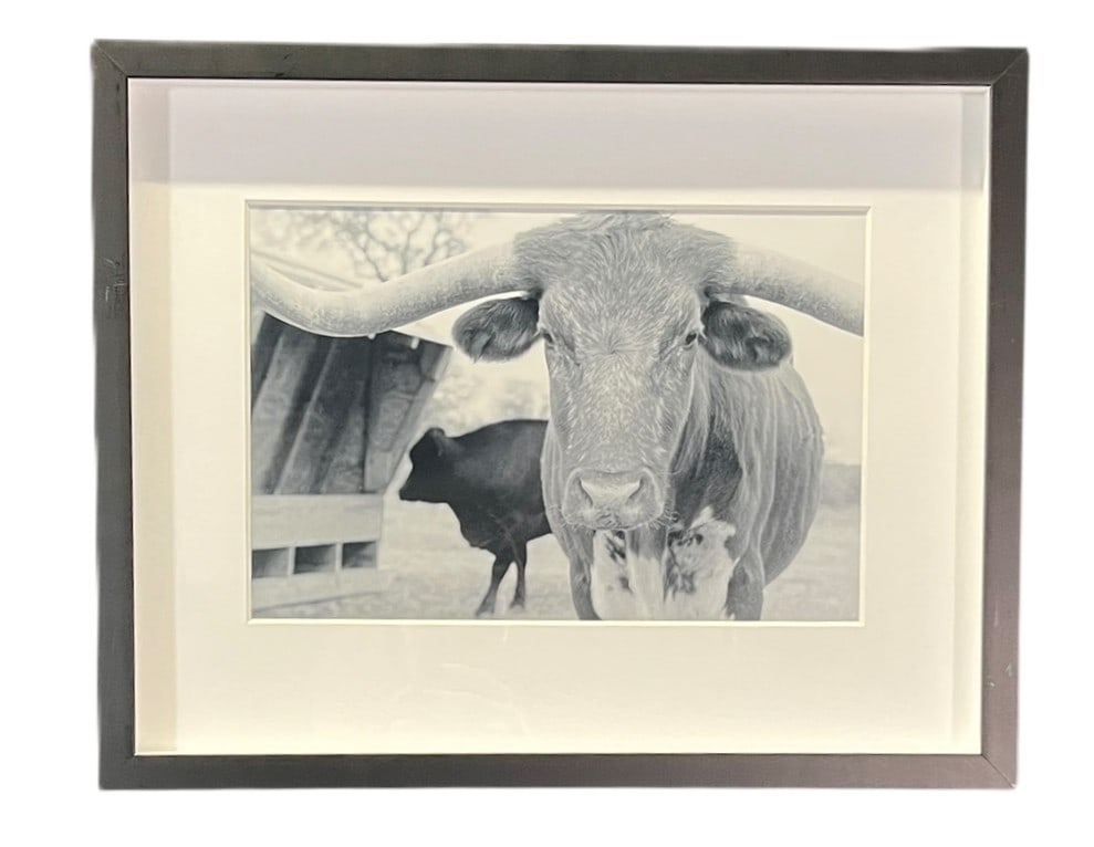 BRITTNAY HANSEN "AMIGO" PHOTOGRAPH (1 of 2)