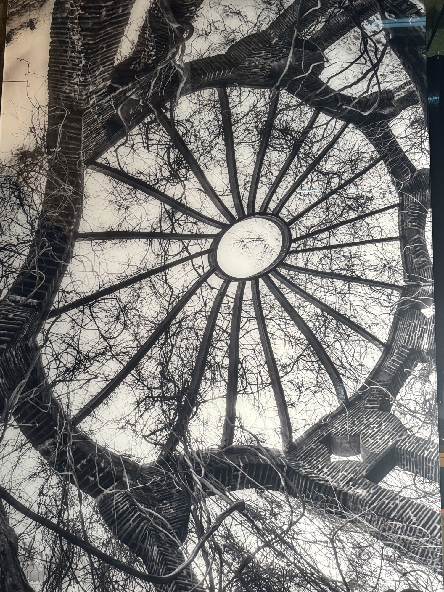 BLACK AND WHITE NATURAL SPIRAL ON LUCITE: BLACK AND WHITE NATURAL SPIRAL ON LUCITE Height: 81 in. by Width: 54 in. by Depth: 2 in.