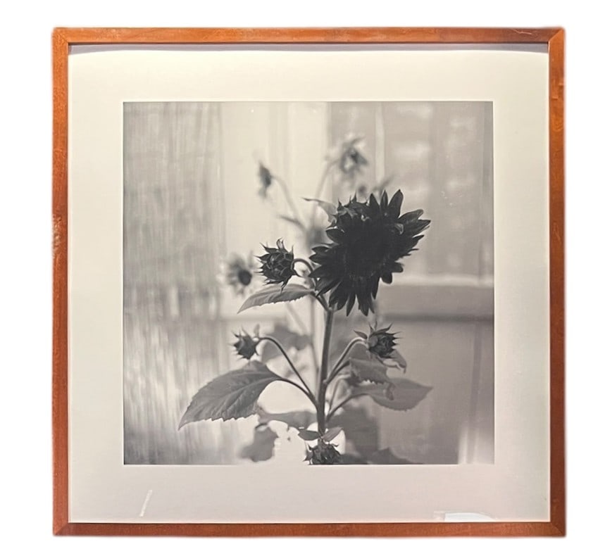 VINTAGE B/W FLORAL PHOTOGRAPH FRAMED (1 of 2)