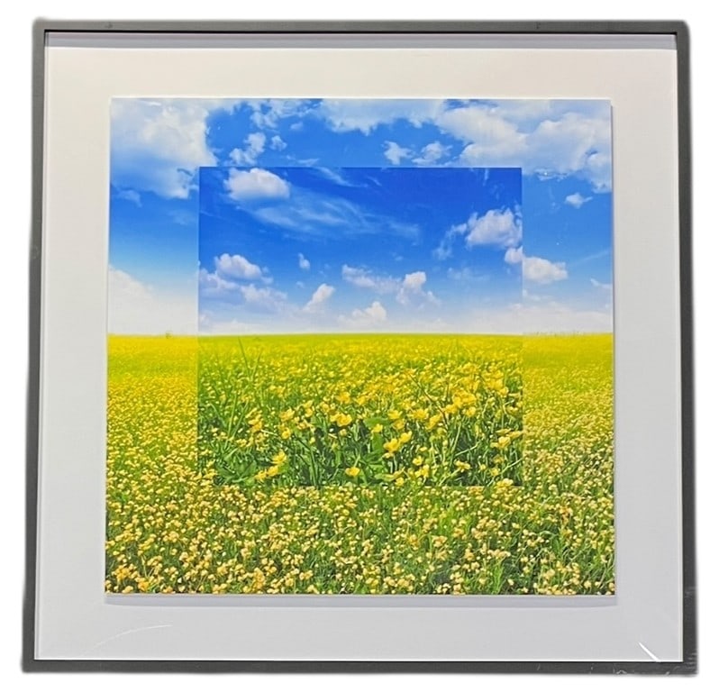 LAND HORIZON PHOTOGRAPH BY MURRAY G.: LAND HORIZON PHOTOGRAPH BY MURRAY G. Height: 37.5 in. by Width: 37 in. by Depth: 2.5 in.