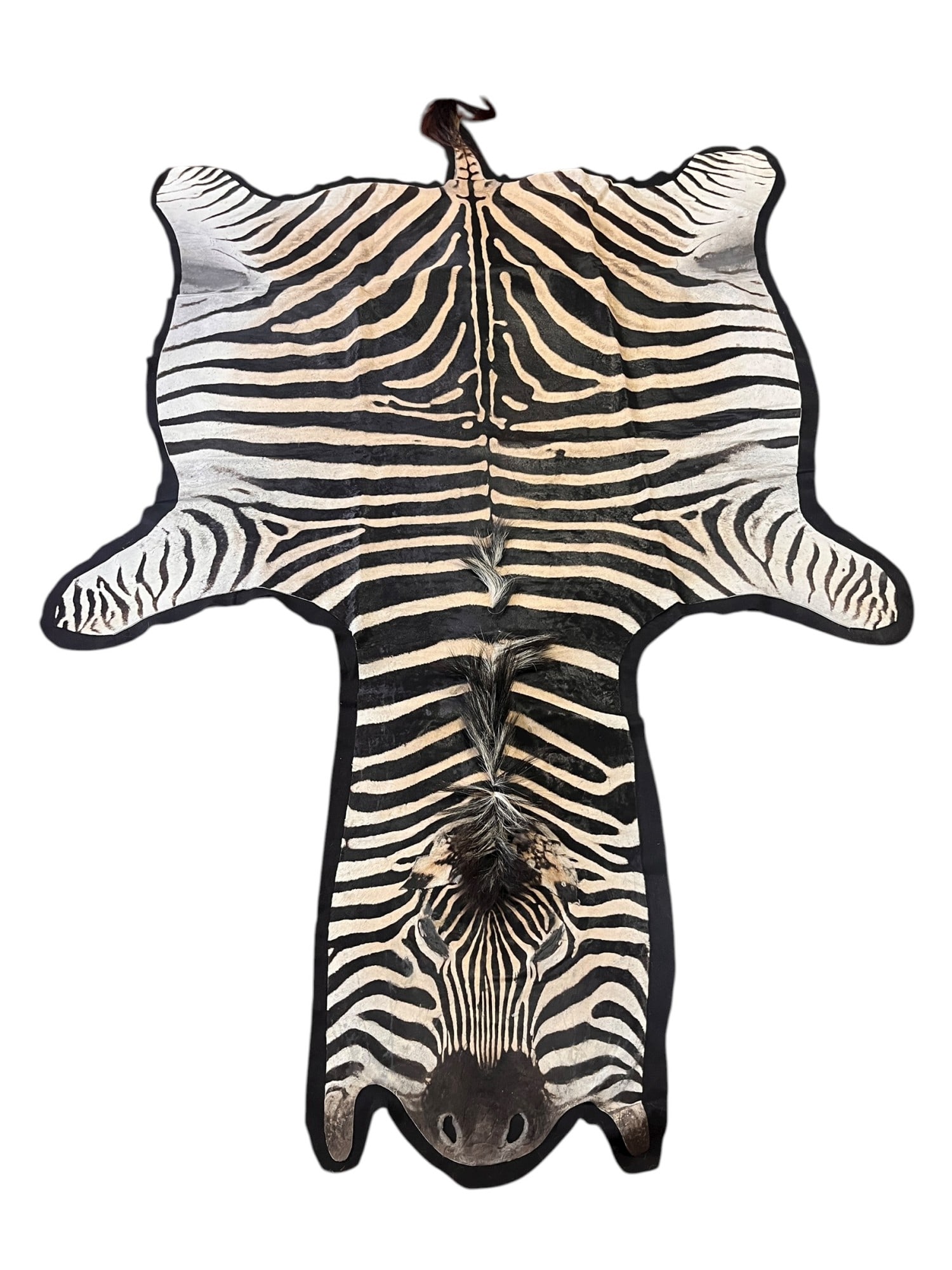 ORIGINAL ZEBRA HIDE RUG - 5