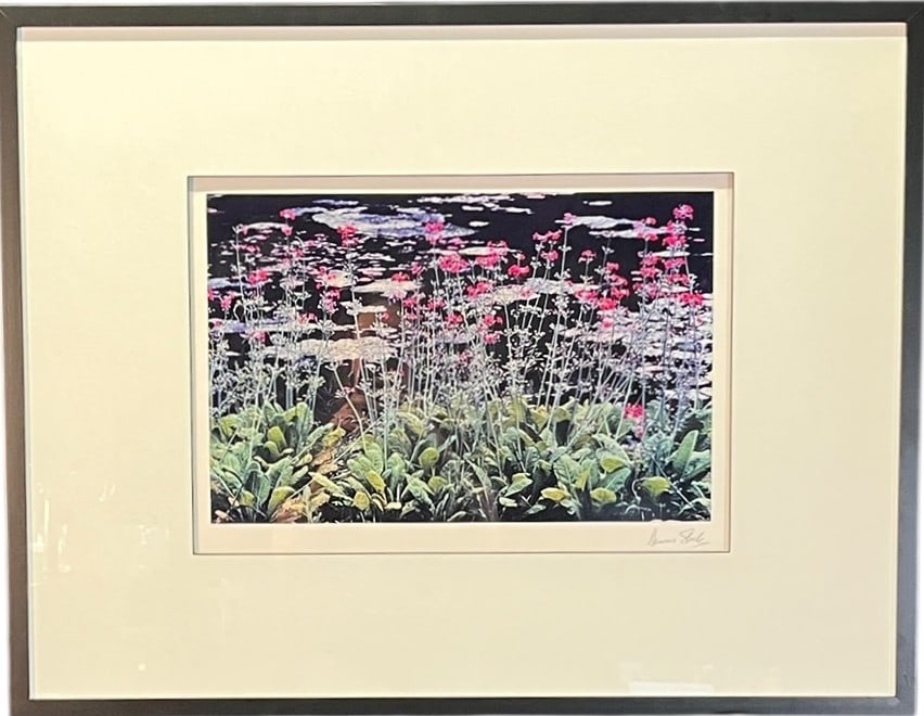 "FLOWER SHOP PORTFOLIO" CIBACHROME PRINT: "FLOWER SHOP PORTFOLIO" CIBACHROME PRINT. Cibachrome (later Ilfochrome) is a direct positive color printing process, introduced in 1963. Height: 25 in. by Width: 32 in. by Depth: 1 IN.