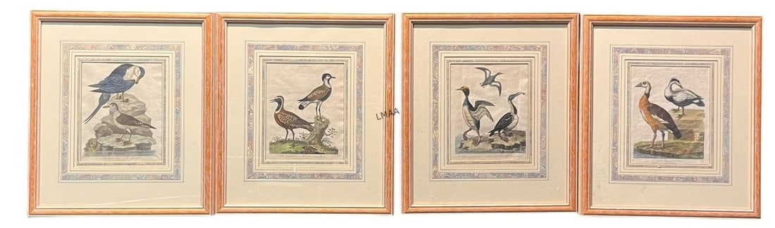 SET OF FOUR VINTAGE BIRD PRINTS IN WOODEN FRAMES (1 of 6)